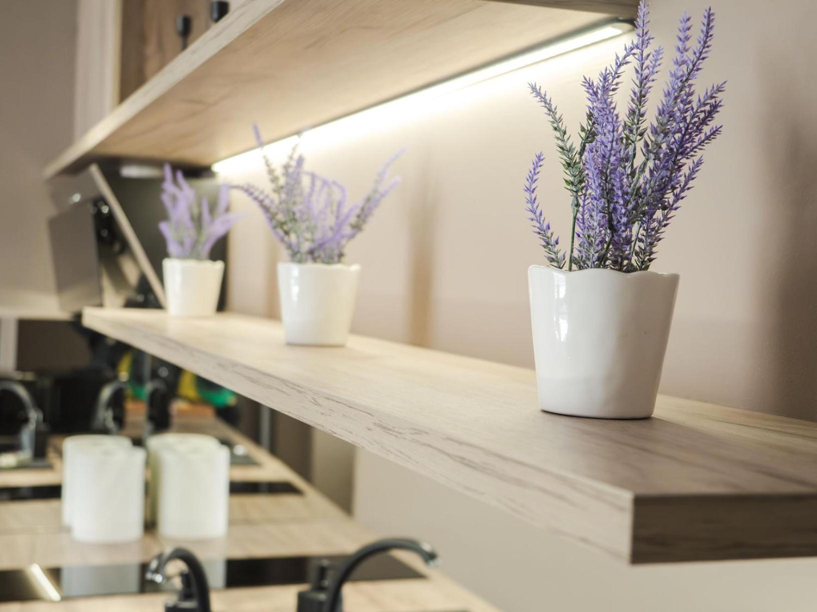 Gavas Modern Apartment Cluj-Napoca