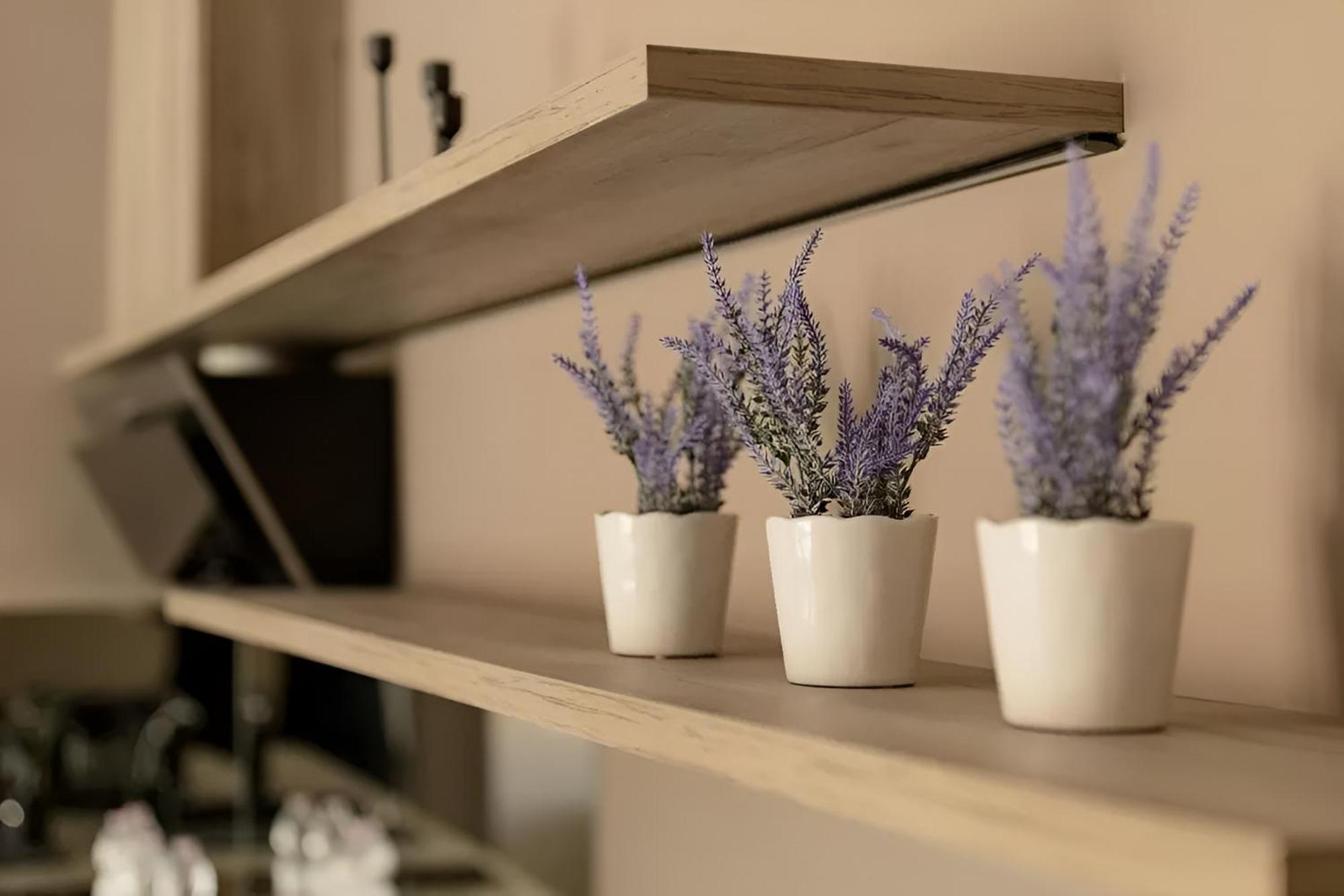 Apartment Gavas Modern Cluj-Napoca